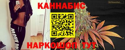 гашик Можга
