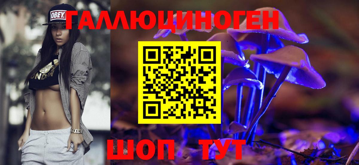 Псилоцибиновые грибы мухоморы Улан-Удэ